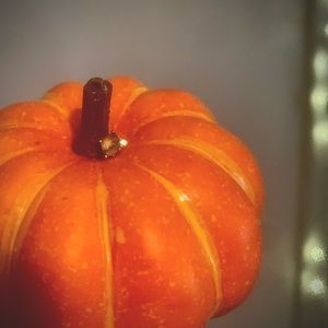 BJO Elicit Moss Agate Threadless End